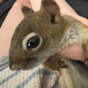 Meet your Posher, Zoey